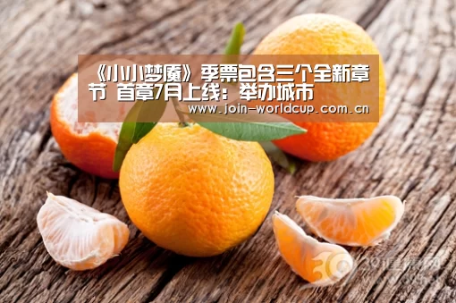世界杯中文网