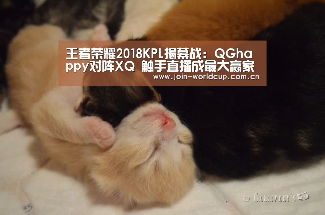 王者荣耀2018KPL揭幕战:QGhappy对阵XQ 触手直播成最大赢家【举办城市】(图1) World Cup 2026
