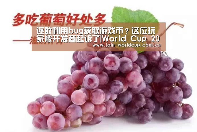 还敢利用bug获取游戏币?这位玩家被开发商起诉了|World Cup 2026(图1) World Cup 2026