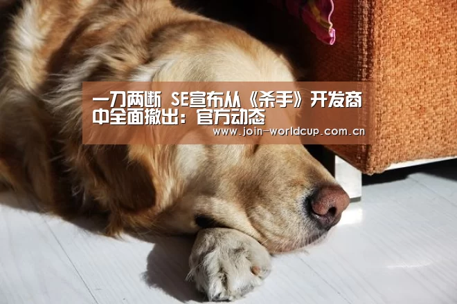 一刀两断 SE宣布从《杀手》开发商中全面撤出:官方动态(图1) 举办城市